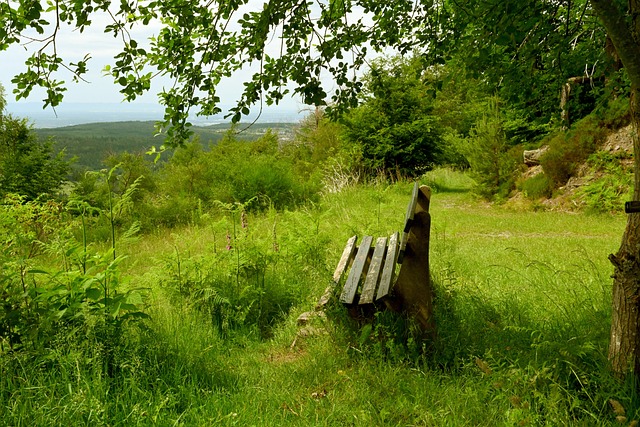 大优势赢得 大优势赢得