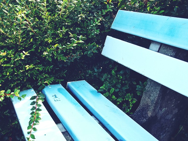 呈的比赛 呈的比赛