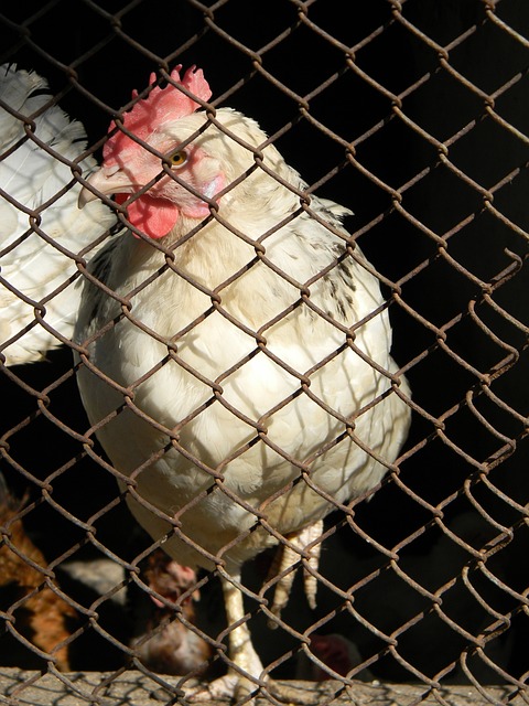 助於解決問 助於解決問