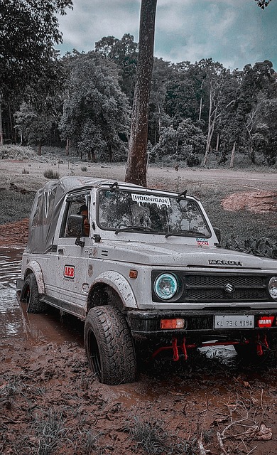 牌无疑为中 牌无疑为中