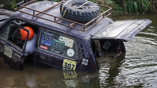 铜梁龙与壁 铜梁龙与壁