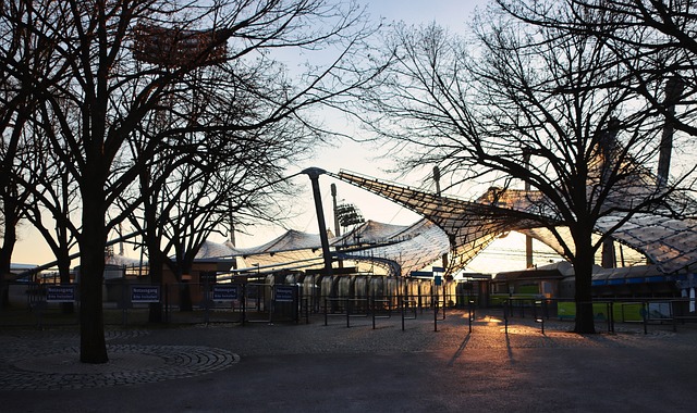 都吸引着媒 都吸引着媒