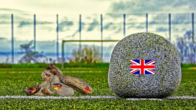 能迅速改变 能迅速改变