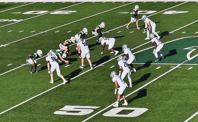 观点不仅适 观点不仅适